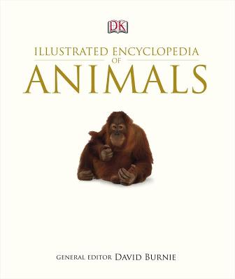 Book cover for Illustrated Encyclopedia of Animals