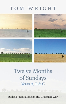Book cover for Twelve Months of Sundays Year C