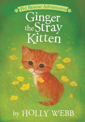Cover of Ginger the Stray Kitten