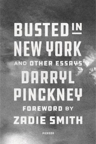 Cover of Busted in New York & Other Essays