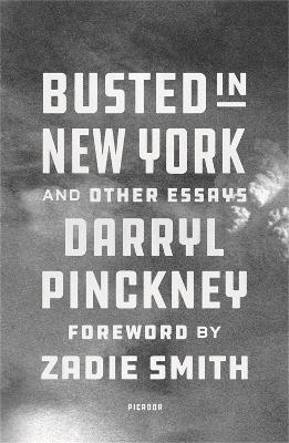 Book cover for Busted in New York & Other Essays