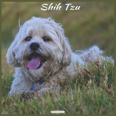 Book cover for Shih Tzu 2021 Wall Calendar