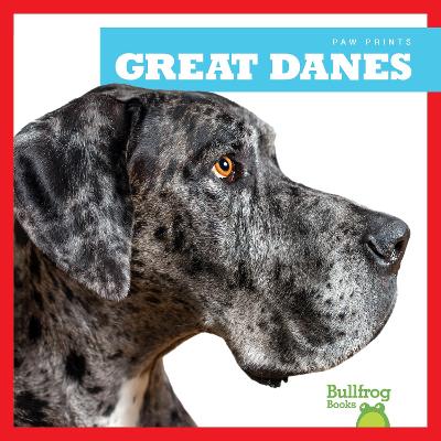 Cover of Great Danes