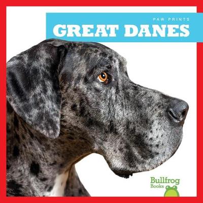 Book cover for Great Danes