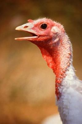 Cover of Farm Journal White Turkey Female Face Close Up