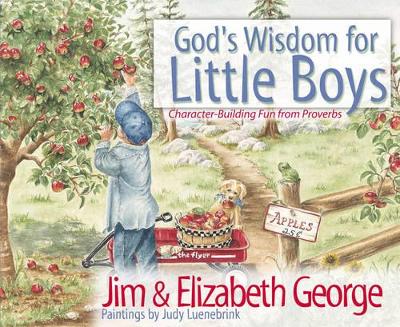 Book cover for God's Wisdom for Little Boys
