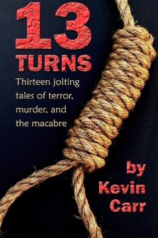 Cover of 13 Turns