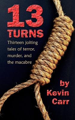 Book cover for 13 Turns