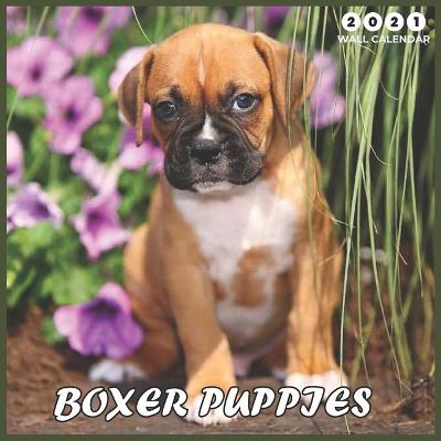 Book cover for Boxer Puppies 2021 Wall Calendar