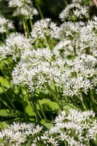 Cover of Bear's Garlic Flowers Growing in a Field Journal