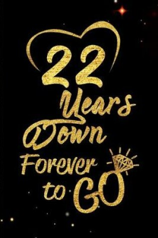 Cover of 22 Years Down Forever to Go