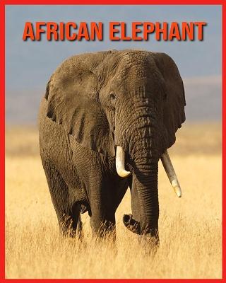 Book cover for African Elephant