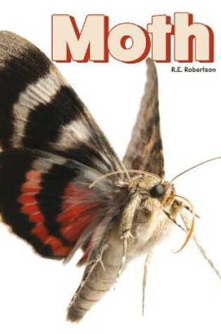 Cover of Moth