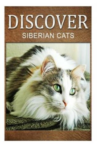 Cover of Siberian Cats - Discover