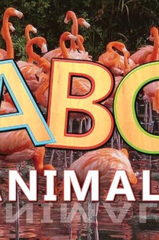 Cover of ABC Animals