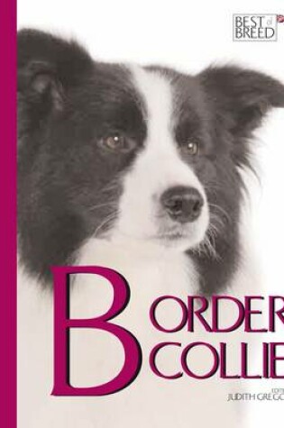 Cover of The Border Collie