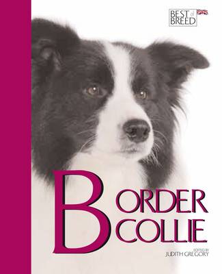 Book cover for The Border Collie