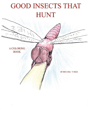 Book cover for Good Insects that Hunt