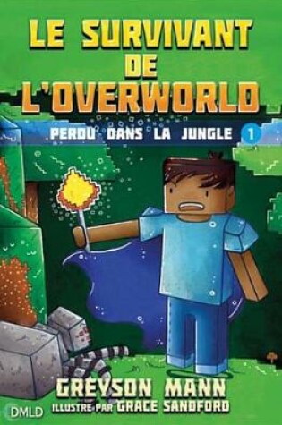 Cover of Le Survivant de L'Overworld T1