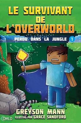 Book cover for Le Survivant de L'Overworld T1