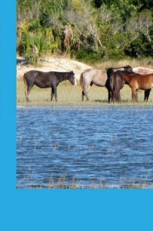 Cover of The Horses of Cumberland Island