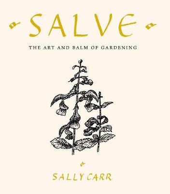 Book cover for Salve