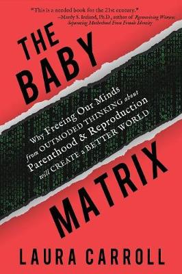 Book cover for The Baby Matrix