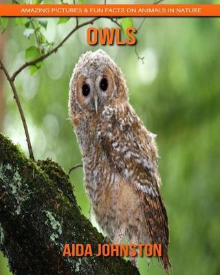 Book cover for Owls