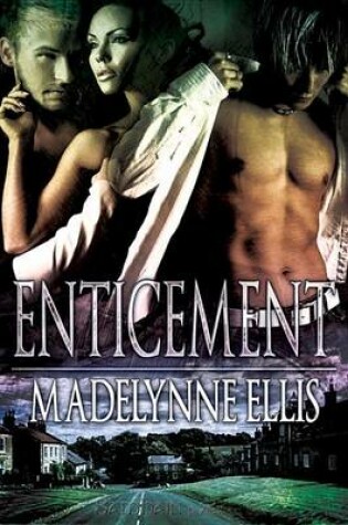 Cover of Enticement