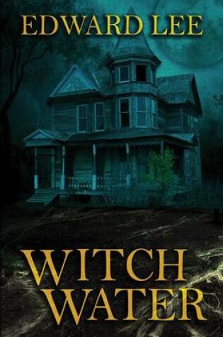 Cover of Witch Water