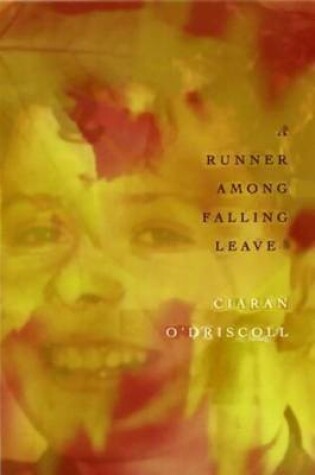 Cover of A Runner Among Falling Leaves