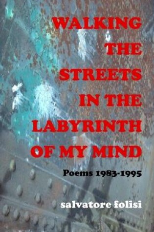 Cover of Walking the Streets in the Labyrinth of My Mind