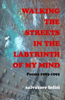 Book cover for Walking the Streets in the Labyrinth of My Mind