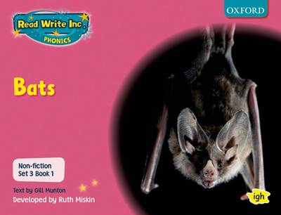 Book cover for Read Write Inc. Phonics: Non-fiction Set 3 (Pink): Bats