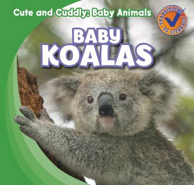 Book cover for Baby Koalas
