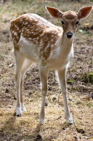 Cover of Young Deer in the Meadow Animal Journal