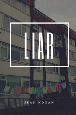 Book cover for Liar