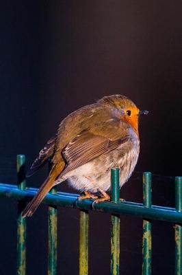 Book cover for Puffed Up Robin on a Fence Journal