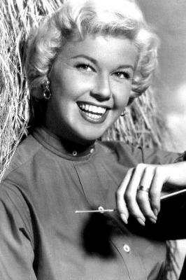 Book cover for Doris Day notebook - achieve your goals, perfect 120 lined pages #1