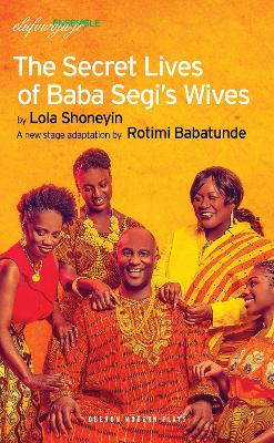 Cover of The Secret Lives of Baba Segi's Wives