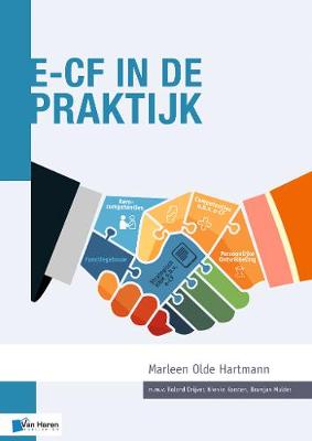 Book cover for e-CF in de Praktijk