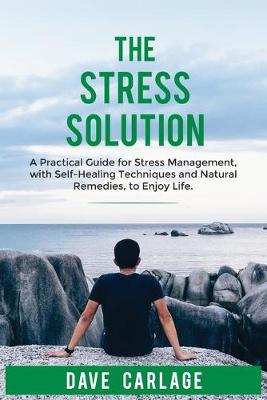 Book cover for The stress solution