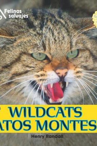 Cover of Wildcats/Gatos Monteses