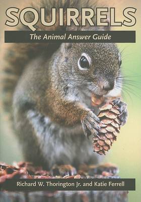 Cover of Squirrels