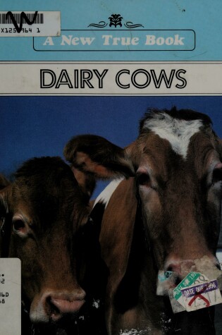 Cover of Dairy Cows