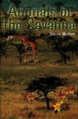 Cover of Animals of the Savanna