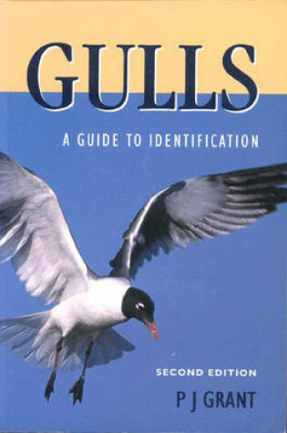 Cover of Gulls