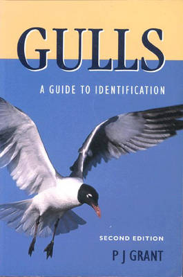 Book cover for Gulls