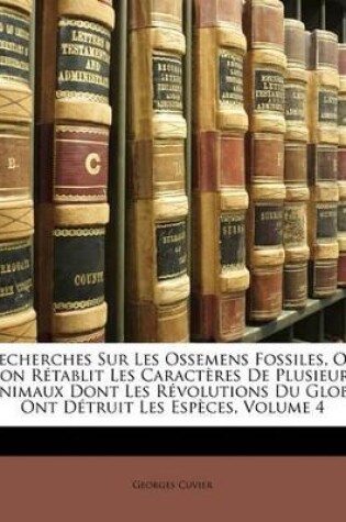 Cover of Recherches Sur Les Ossemens Fossiles, Ou L'On Retablit Les Caracteres de Plusieurs Animaux Dont Les Revolutions Du Globe Ont Detruit Les Especes, Volume 4