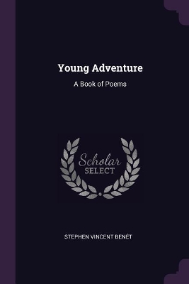 Book cover for Young Adventure